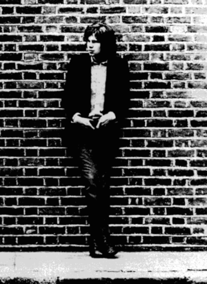 Nick  Drake