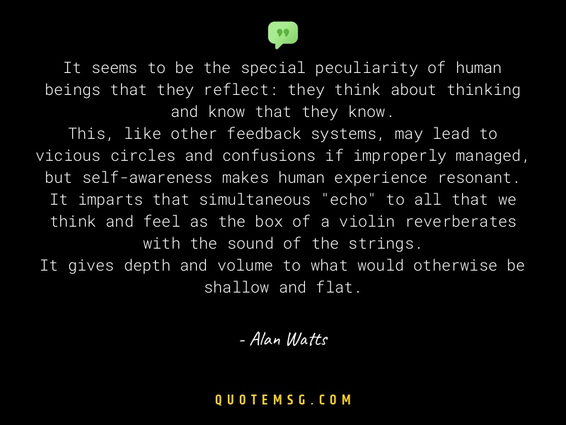 Image of Alan Watts