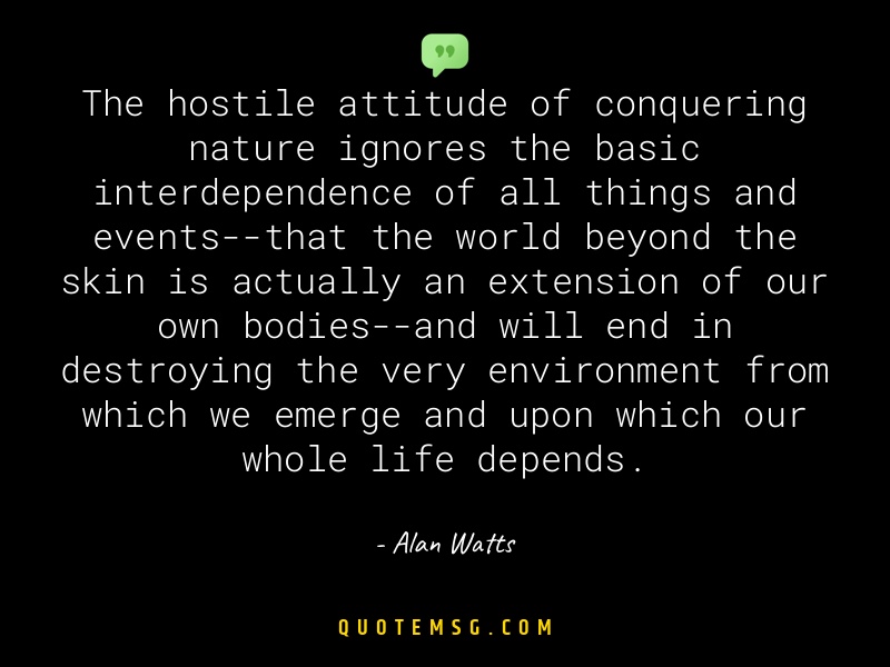 Image of Alan Watts