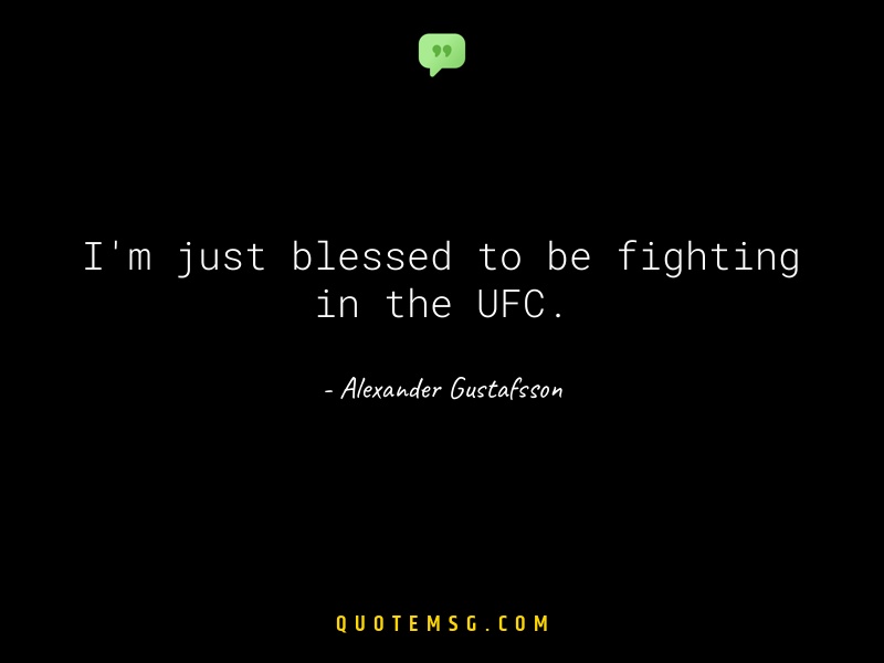 Image of Alexander Gustafsson