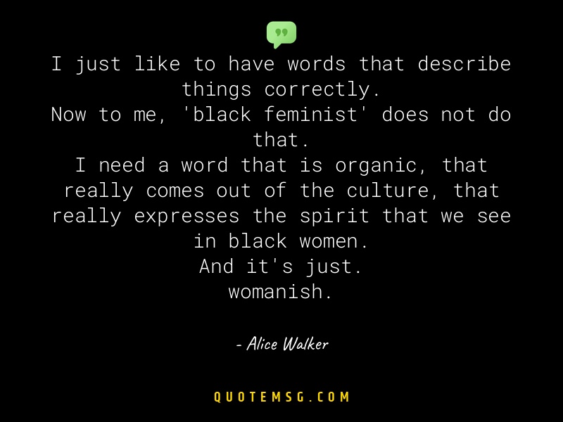 Image of Alice Walker