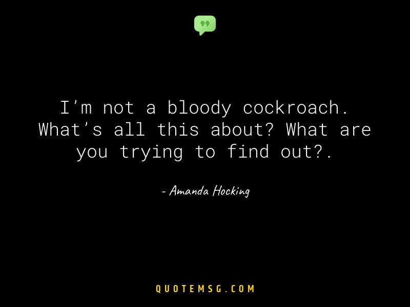 Image of Amanda Hocking