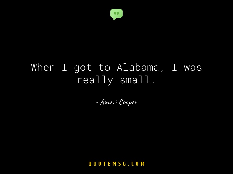 Image of Amari Cooper