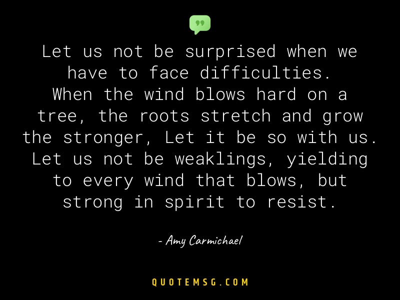 Image of Amy Carmichael