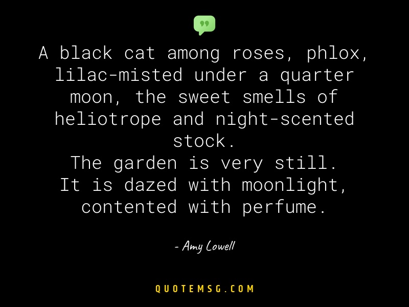 Image of Amy Lowell