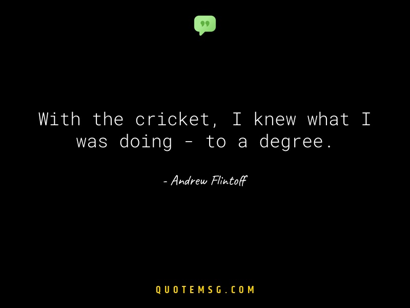 Image of Andrew Flintoff