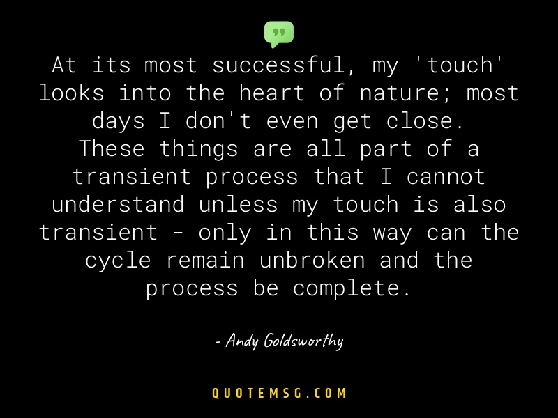 Image of Andy Goldsworthy