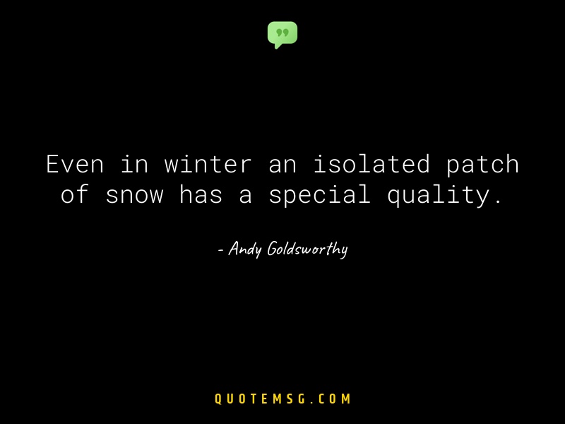 Image of Andy Goldsworthy