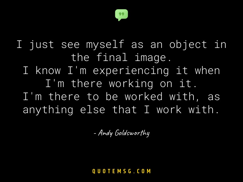 Image of Andy Goldsworthy