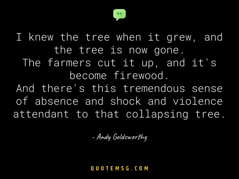 Image of Andy Goldsworthy