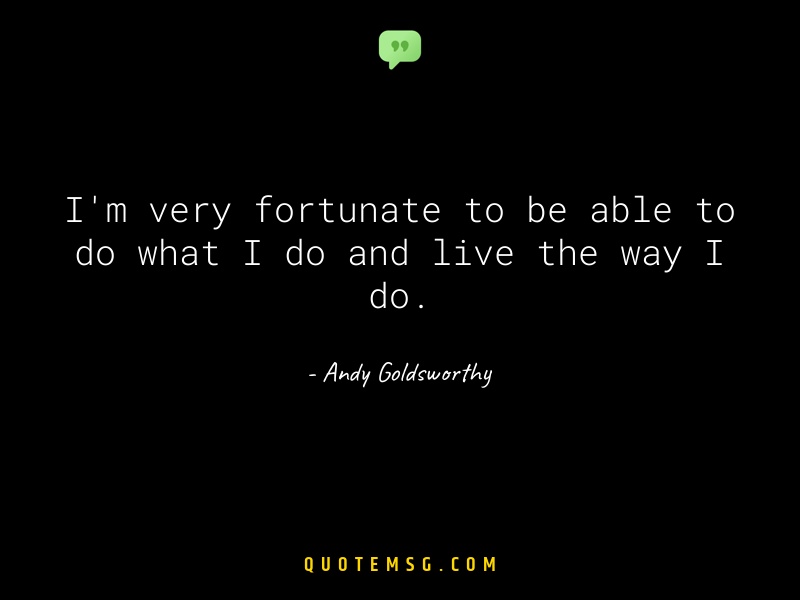 Image of Andy Goldsworthy