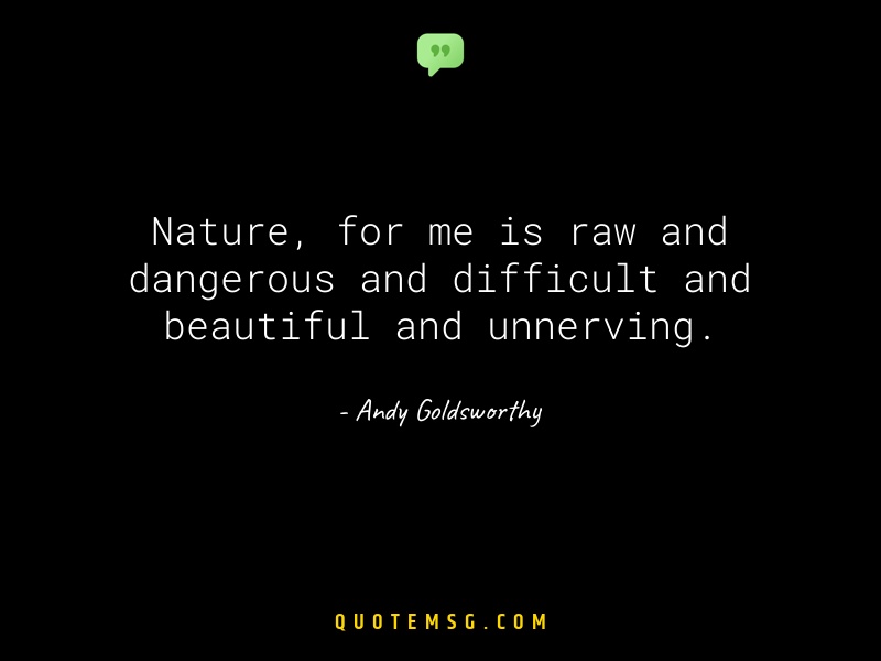 Image of Andy Goldsworthy