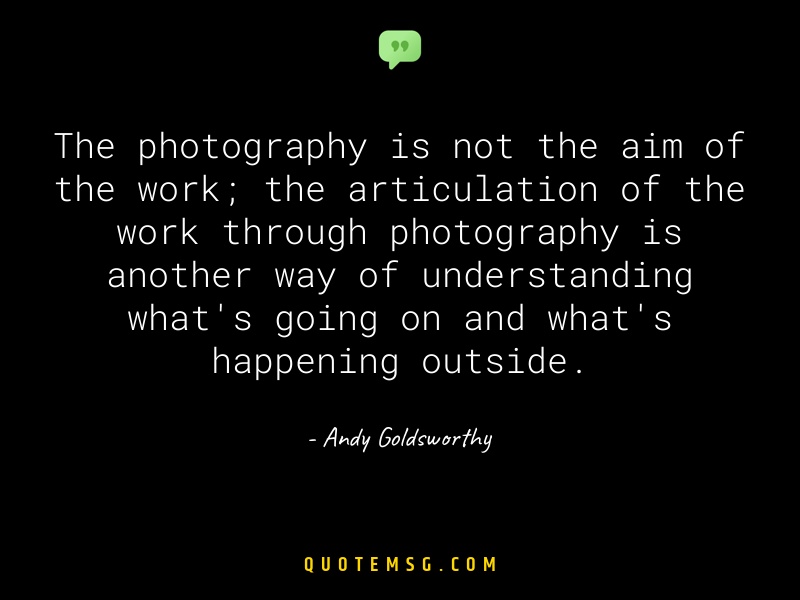 Image of Andy Goldsworthy