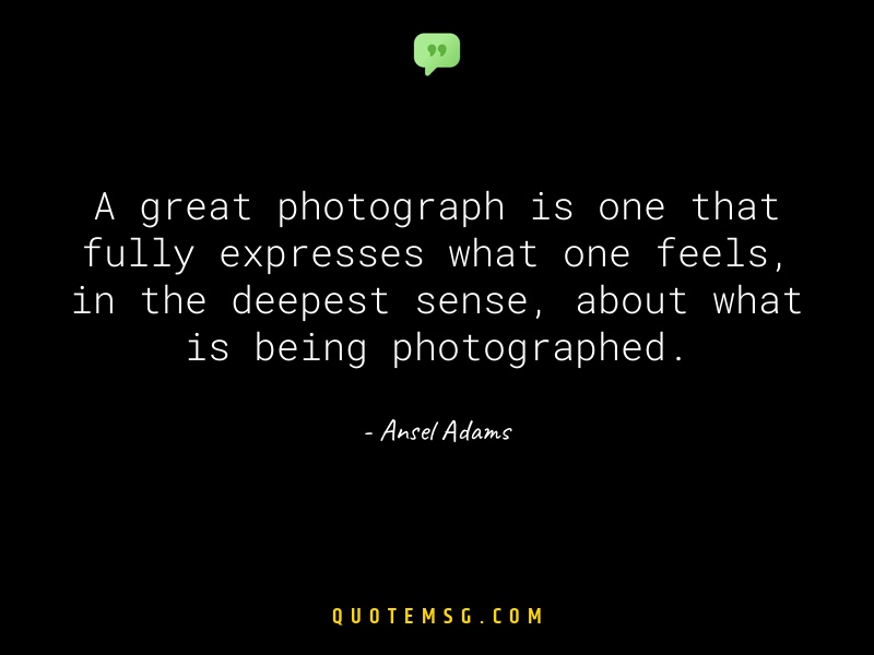 Image of Ansel Adams