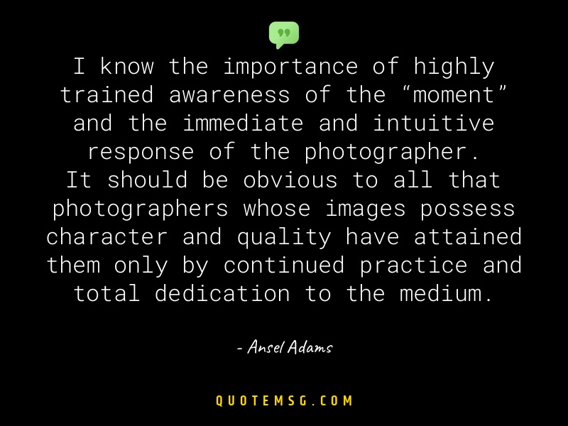 Image of Ansel Adams