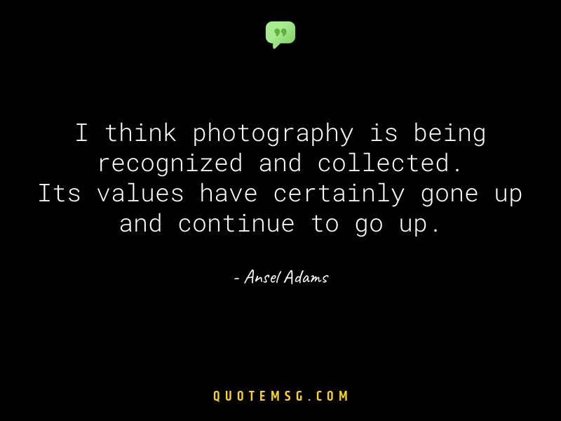 Image of Ansel Adams