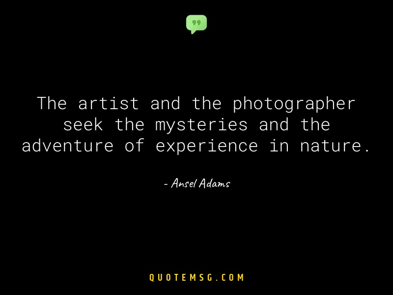 Image of Ansel Adams