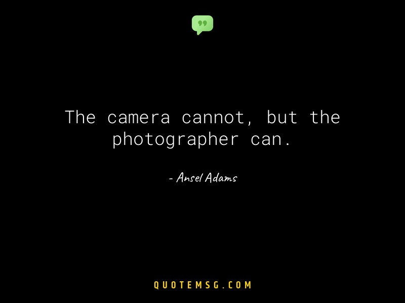 Image of Ansel Adams