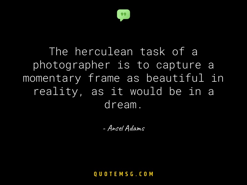 Image of Ansel Adams