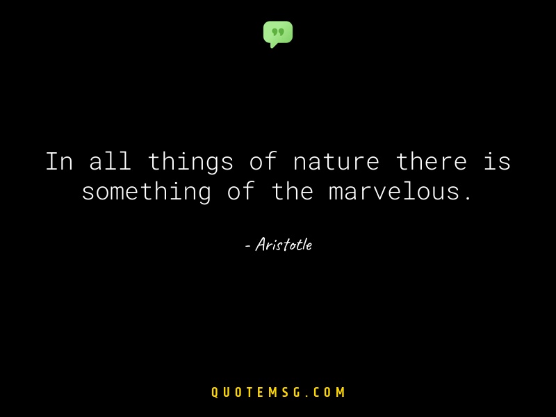 Image of Aristotle