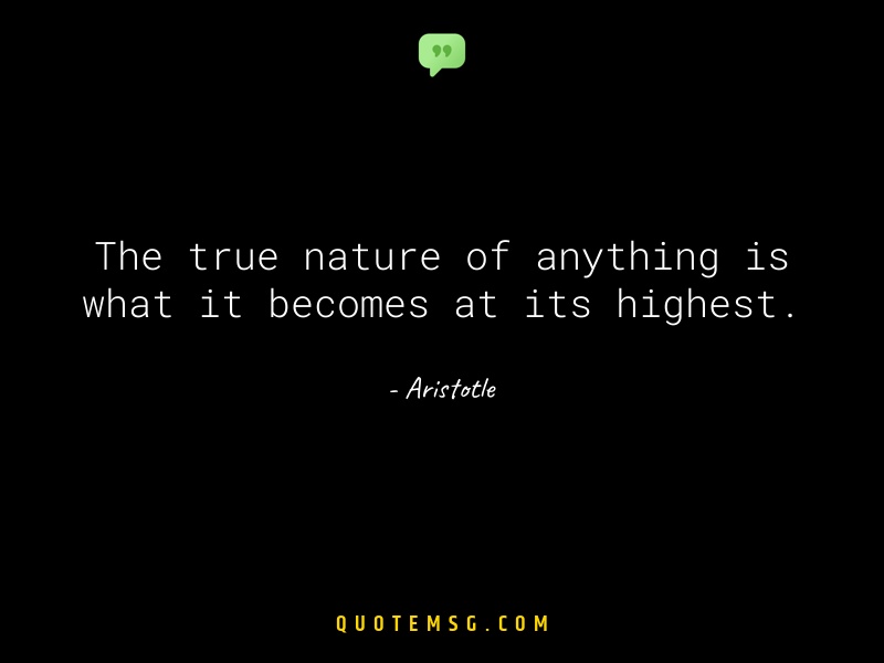 Image of Aristotle