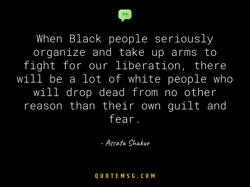 Image of Assata Shakur