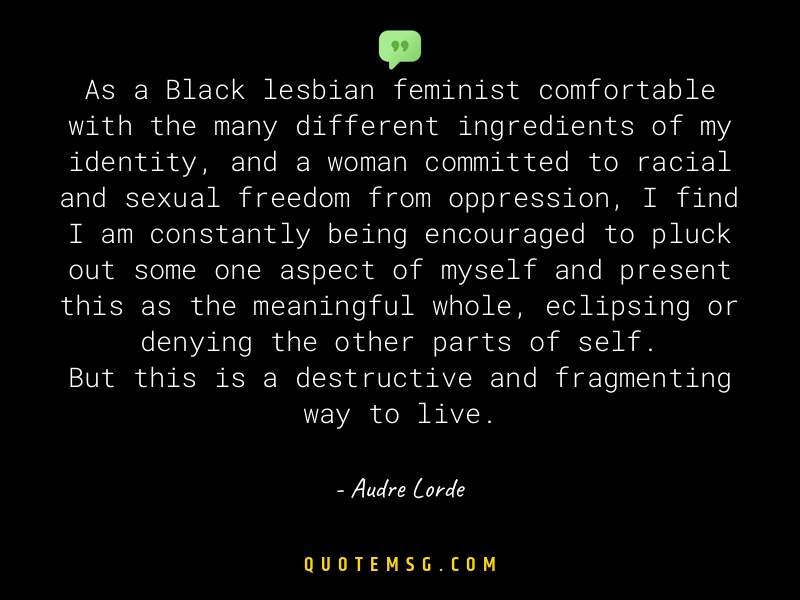 Image of Audre Lorde