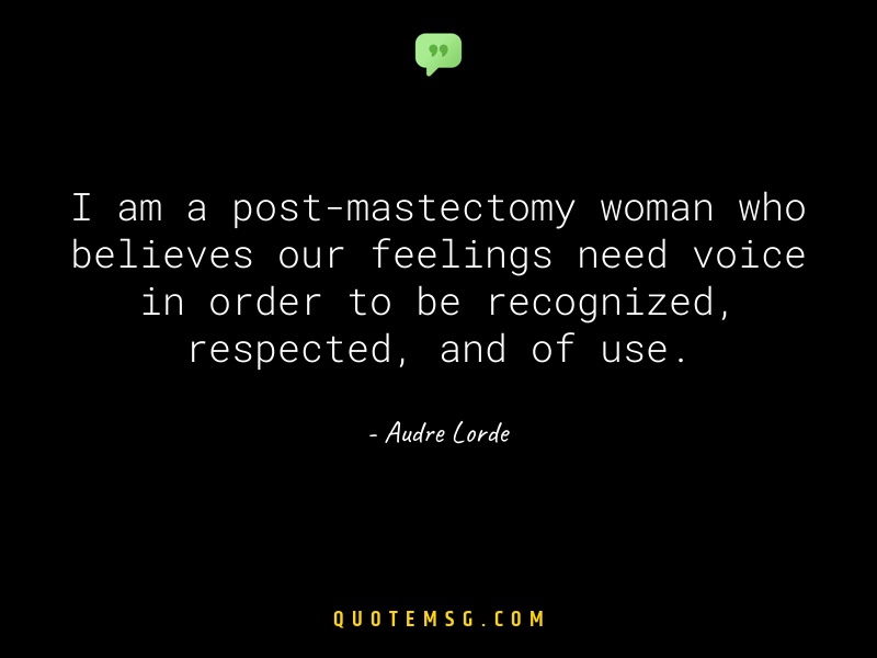 Image of Audre Lorde