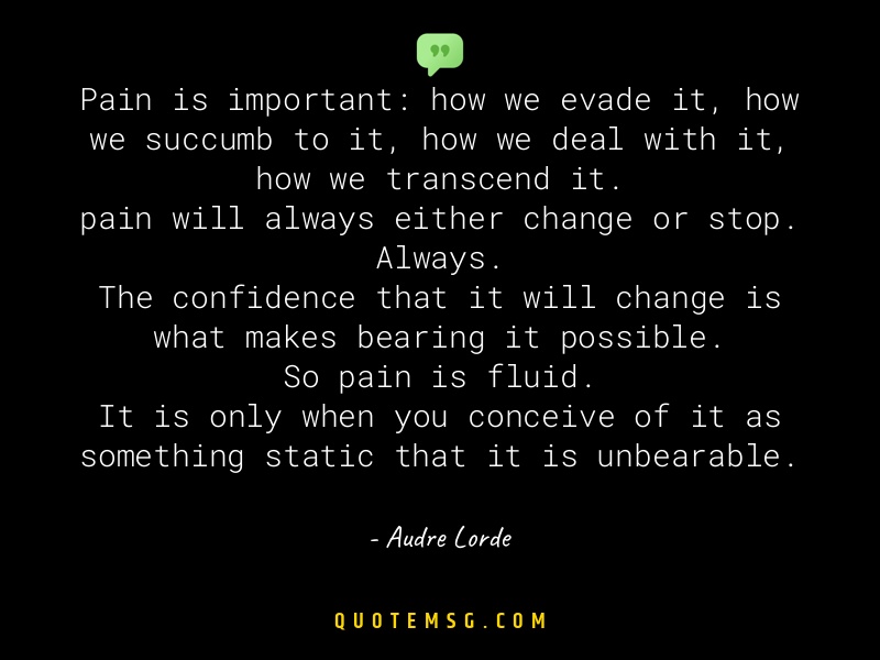 Image of Audre Lorde