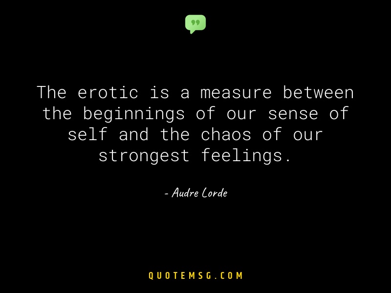 Image of Audre Lorde