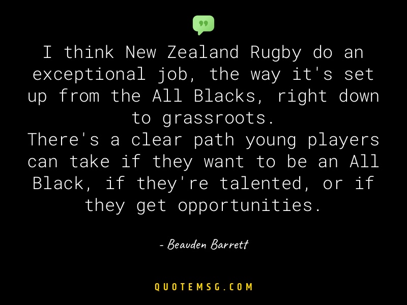 Image of Beauden Barrett