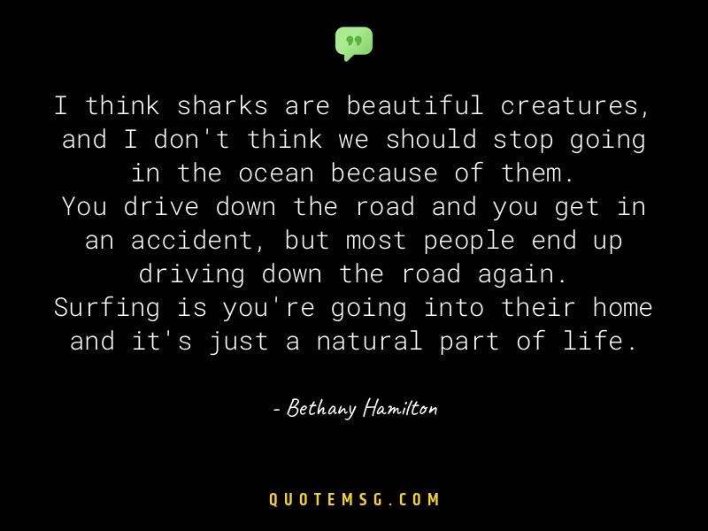 Image of Bethany Hamilton