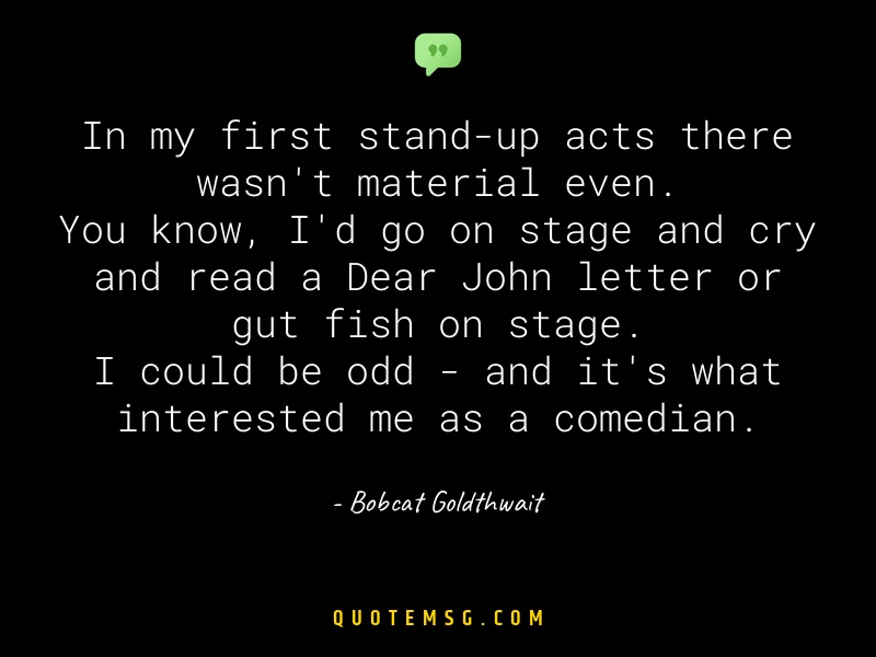 Image of Bobcat Goldthwait