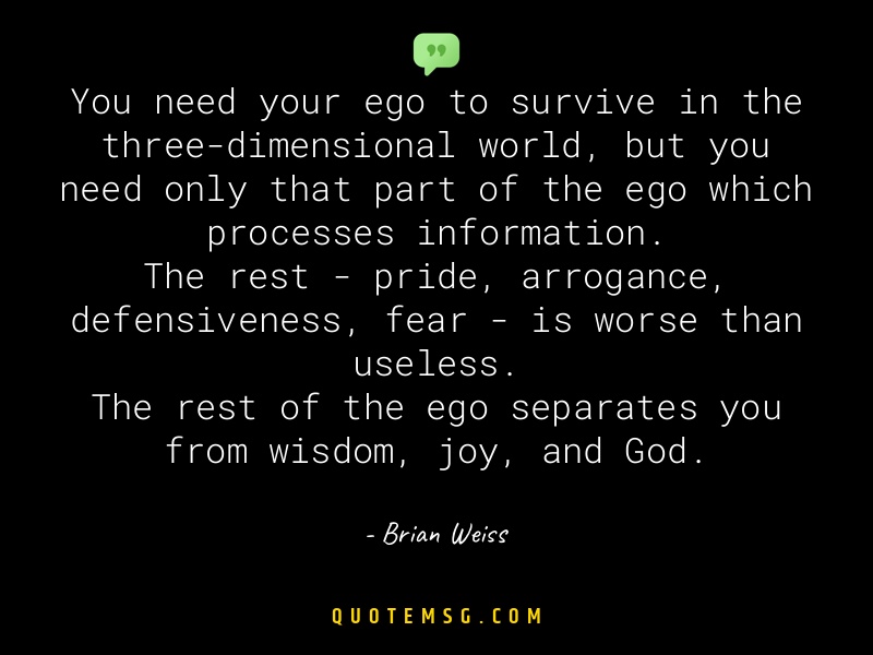 Image of Brian Weiss