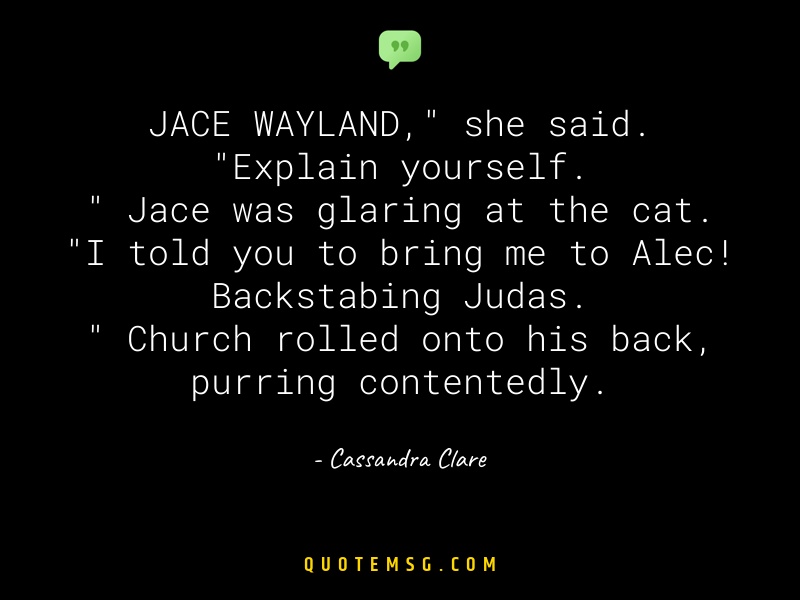 Image of Cassandra Clare