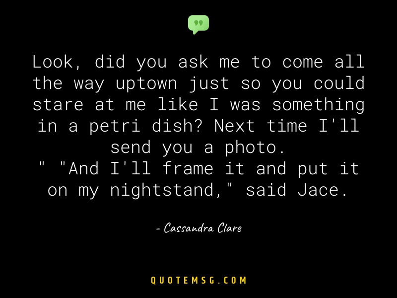 Image of Cassandra Clare