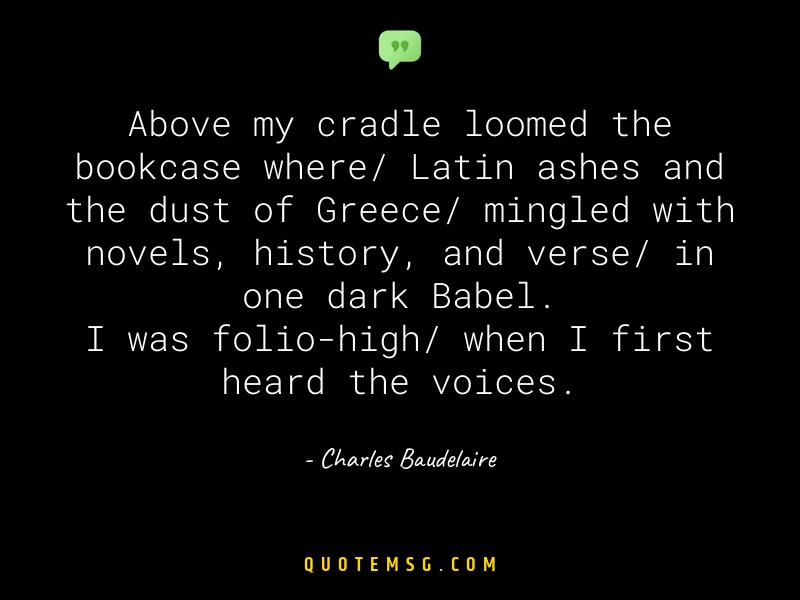 Image of Charles Baudelaire