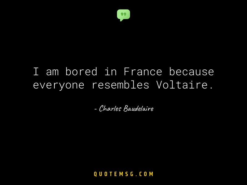 Image of Charles Baudelaire