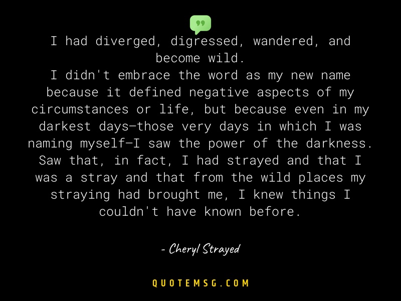 Image of Cheryl Strayed