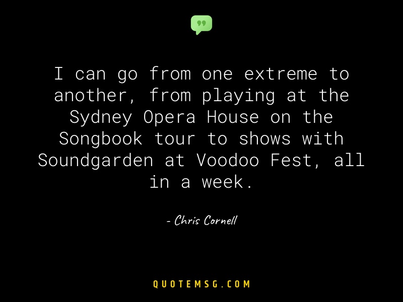 Image of Chris Cornell