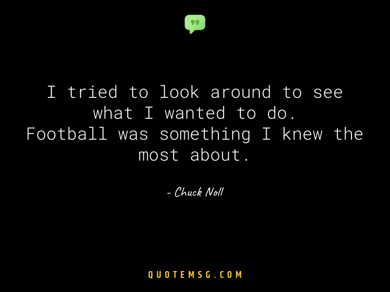 Image of Chuck Noll