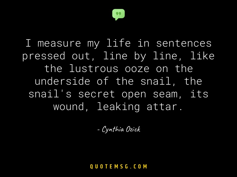 Image of Cynthia Ozick