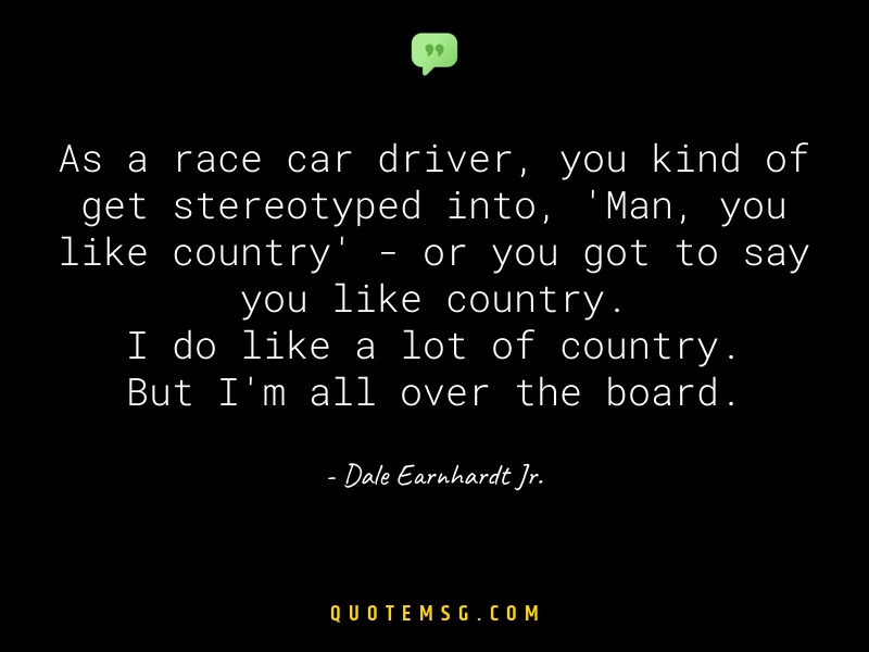 Image of Dale Earnhardt Jr.