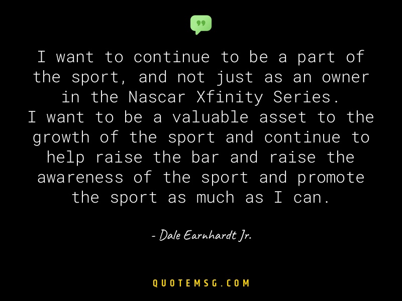 Image of Dale Earnhardt Jr.