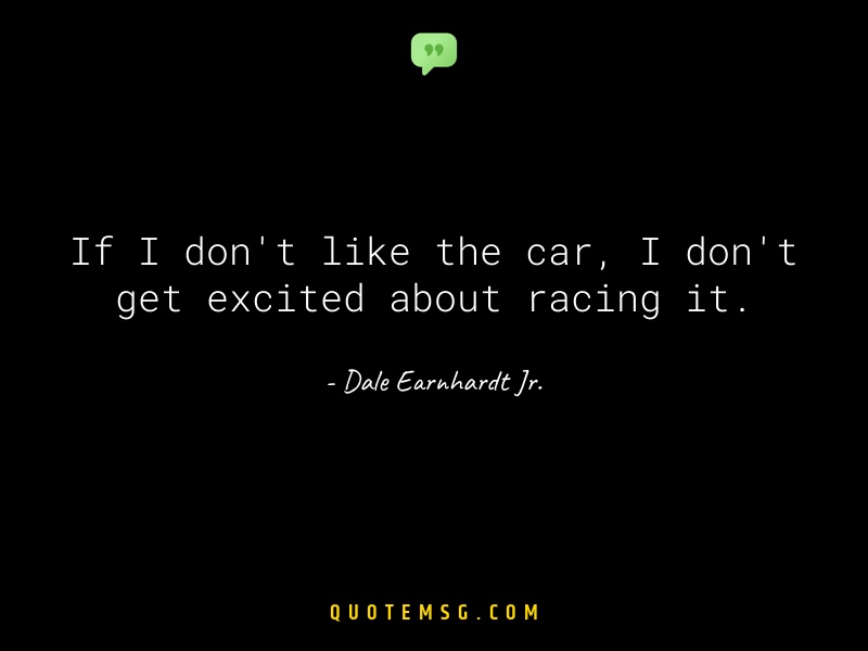 Image of Dale Earnhardt Jr.