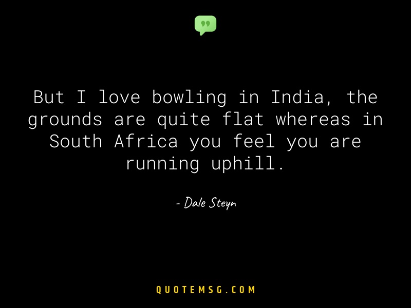 Image of Dale Steyn