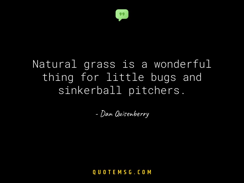 Image of Dan Quisenberry