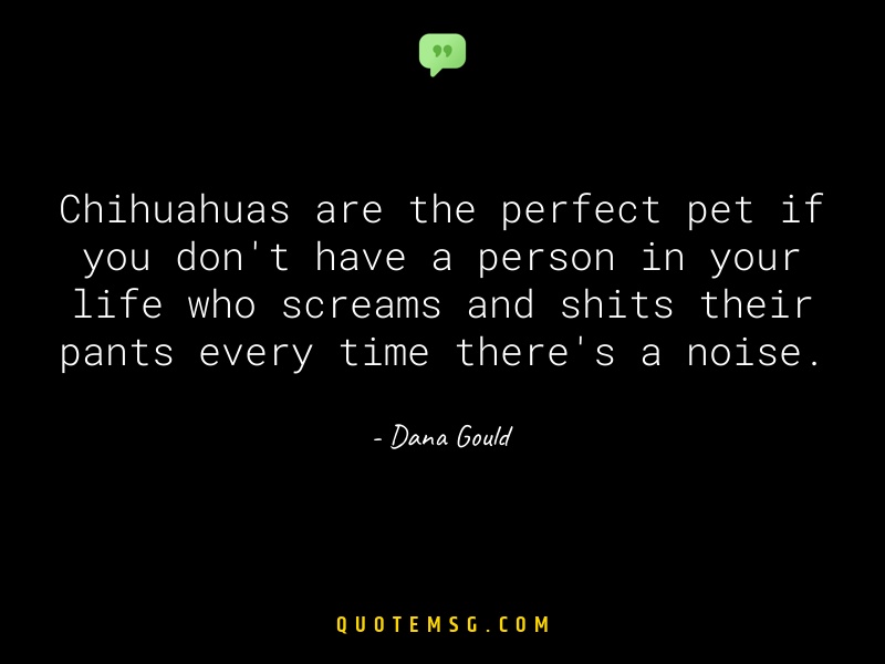 Image of Dana Gould