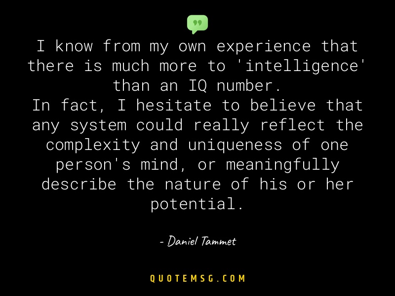 Image of Daniel Tammet