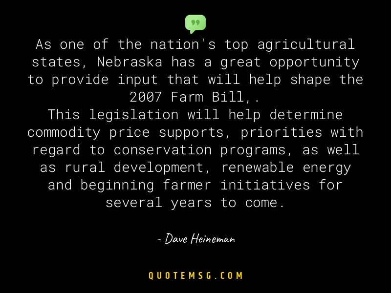 Image of Dave Heineman